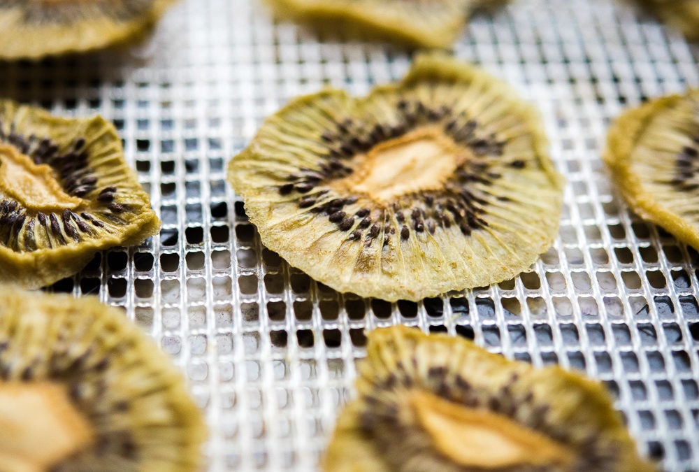 Dried Kiwi Chips