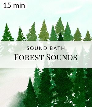 15-min Relaxation Forest Sound Bath Post