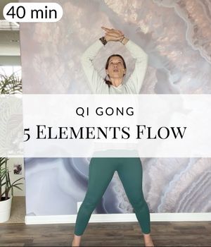 Qi Gong 40 Minute 5 Elements Flow (Post)