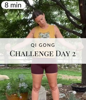 Qi Gong Challenge Day 2 (Post)