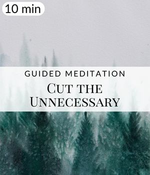 Cut the Unnecessary Meditation Post
