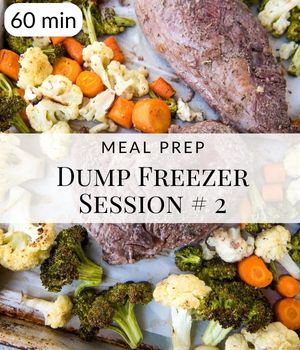 Dump Freezer Session # 2 Post