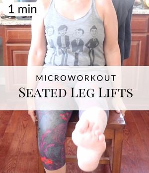 Seated Leg Lifts Microworkout