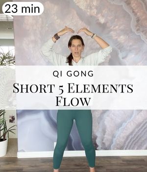 25-Minute QiGong 5 Elements Flow (Post)